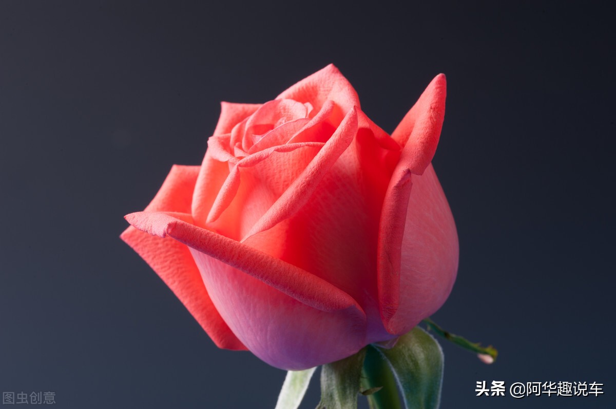 燃油宝添加剂能给汽车清积碳吗,汽车加燃油添加剂能清积碳吗