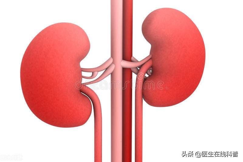 34岁高血压还能恢复正常吗,高血压肾病早期如何逆转治疗