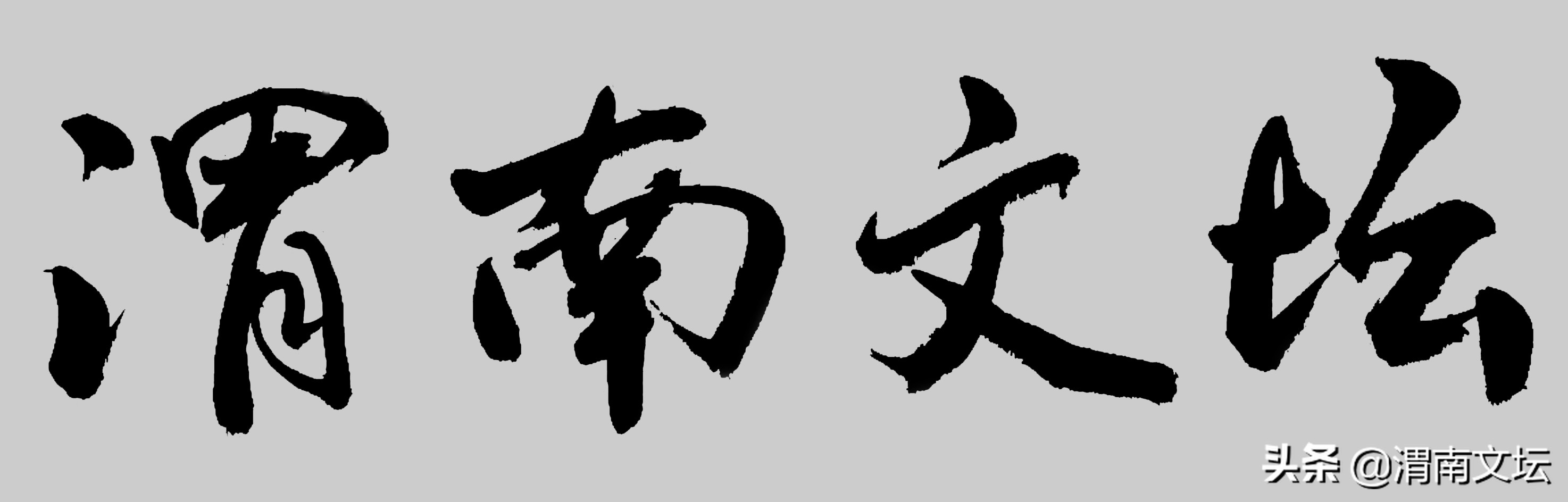闫芙蓉陕西,渭南文坛