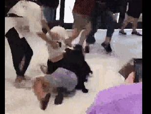 costco暂停营业视频,costco开业半天被买停罐车