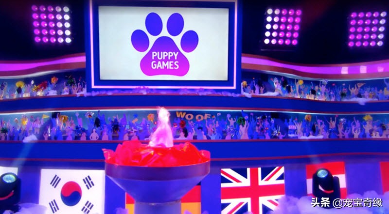 狗狗敏捷大赛三冠王,美国狗狗选美大赛