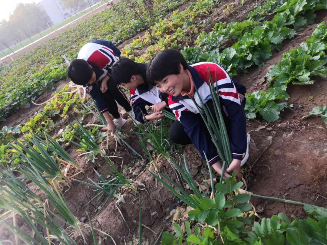 邯郸教育动态,邯郸市教育观察