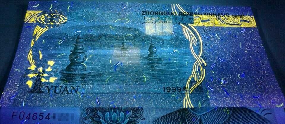 991大叶兰的闪光点