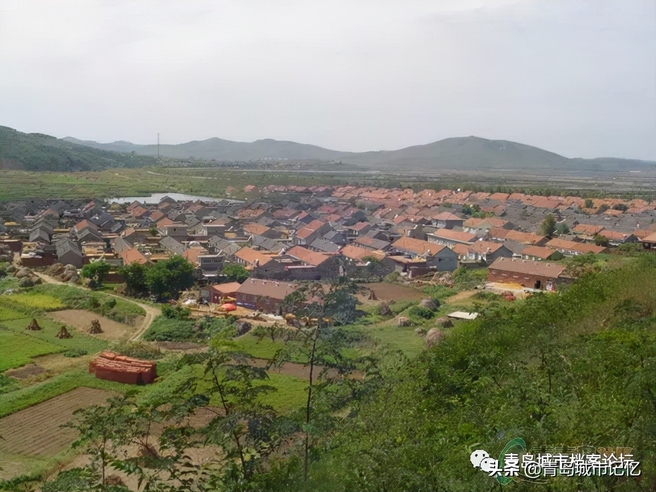 栲栳岛的历史,栲栳岛船队