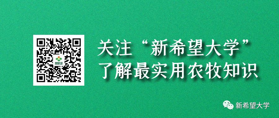 非瘟过后怎样消毒才彻底,非瘟无害化处理