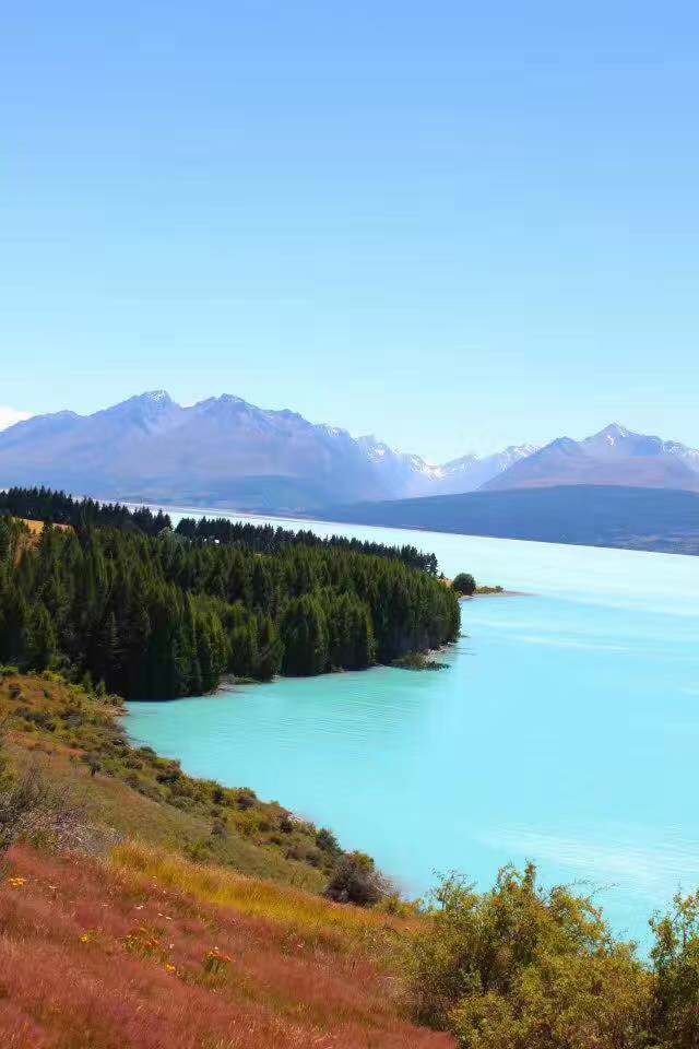 新西兰皇后镇度假多少钱,新西兰皇后镇置业