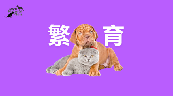 【知识】宠物繁育指南，建议收藏