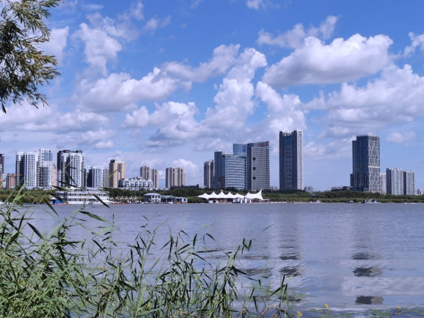 哈尔滨江北别墅,哈尔滨江北大学城