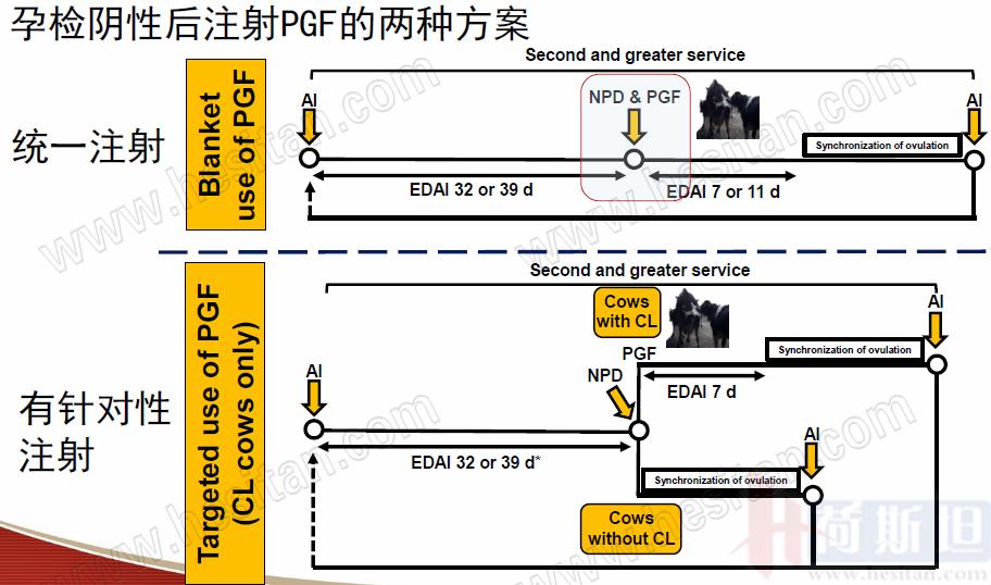 康奈尔大学JulioGiordano:如何通过技术整合优化繁殖性能