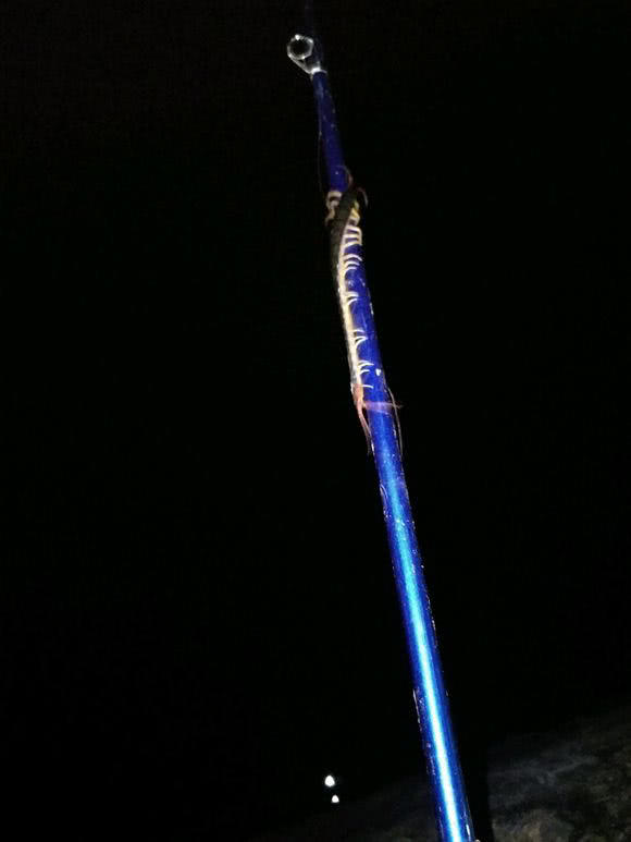晚上夜钓老是有蜈蚣怎么防,野钓怎样防止蜈蚣最有效