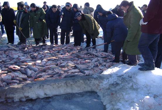 查干湖捕鱼基本上捕多少斤,查干湖冬捕每年什么时间捕鱼
