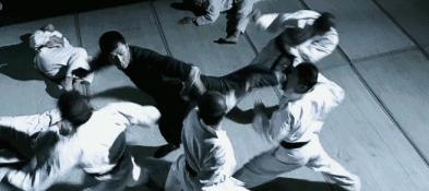 武术技法的整体原理,武术功力分为明劲暗劲化劲