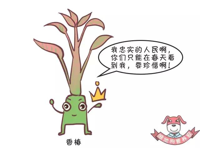 香菜、香椿……这些有味道的蔬菜，吃了有什么好处？