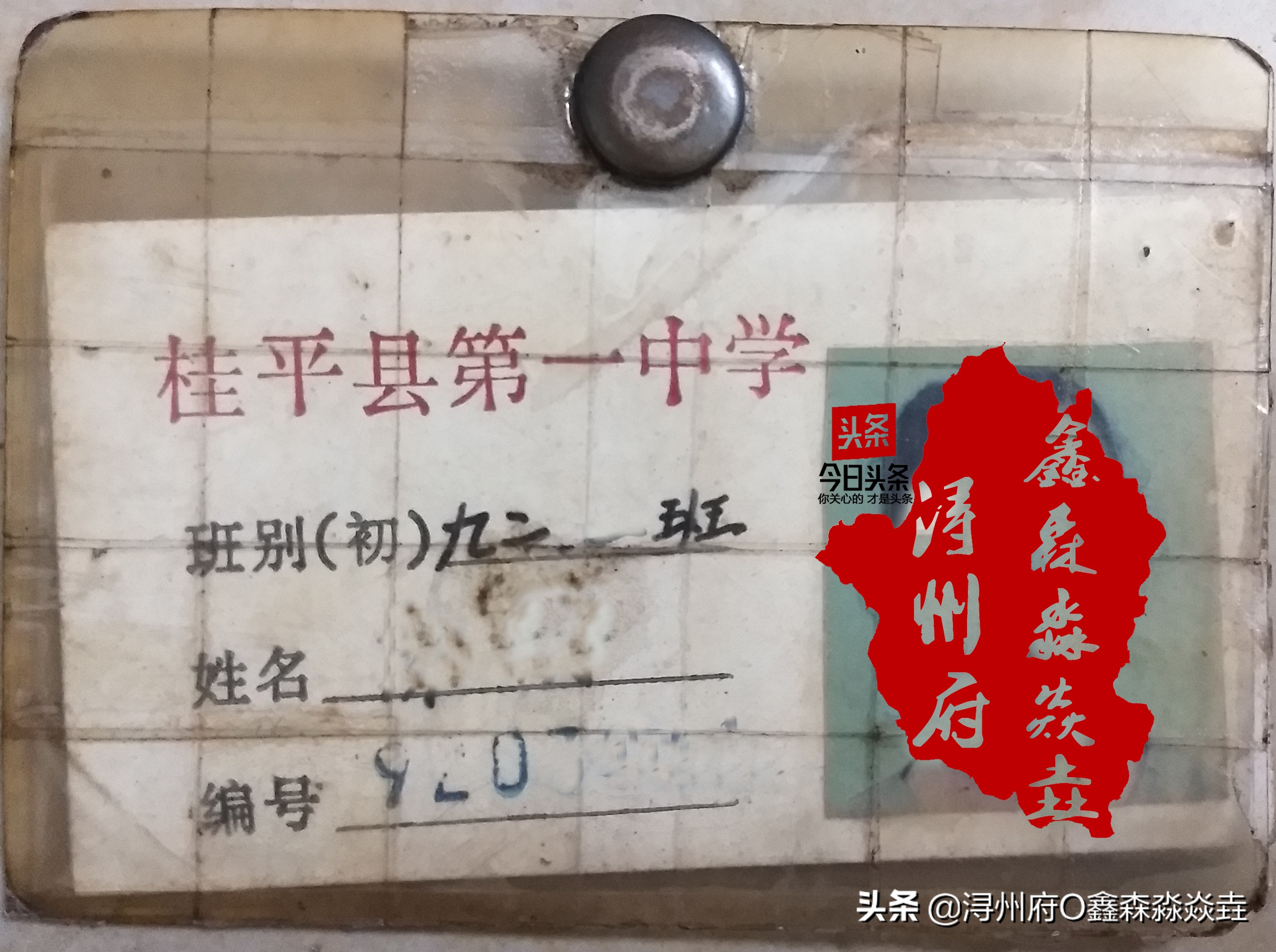 桂平浔州高中校友录,桂平市第一中学知名校友