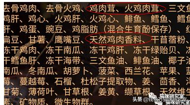 纽翠斯猫粮啥时候降价,纽翠斯猫粮是全期猫粮吗