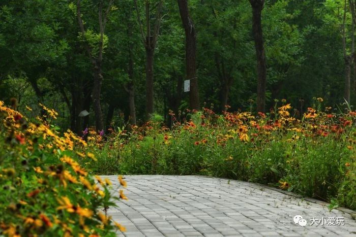 北京清明节遛娃好去处,北京适合遛娃的博物馆