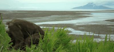 豆瓣9.8分悬疑大片,窥探电视剧豆瓣评分
