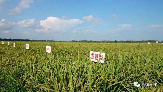 自驾环游世界第一人,自驾全球第一人