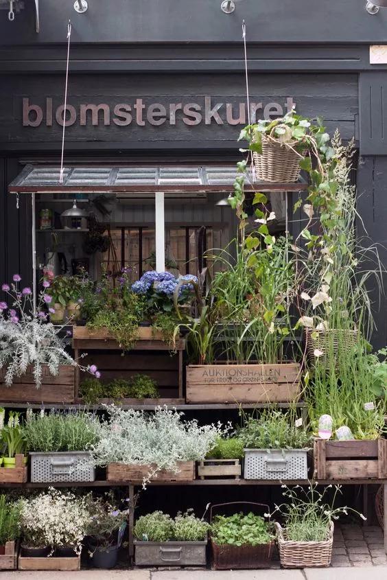 年轻人建议开花店吗,未来10年开花店好吗