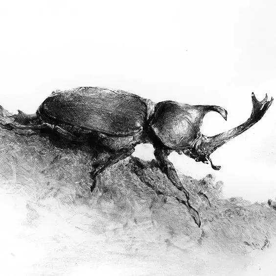 素描基础薄弱,素描基础绘画超难