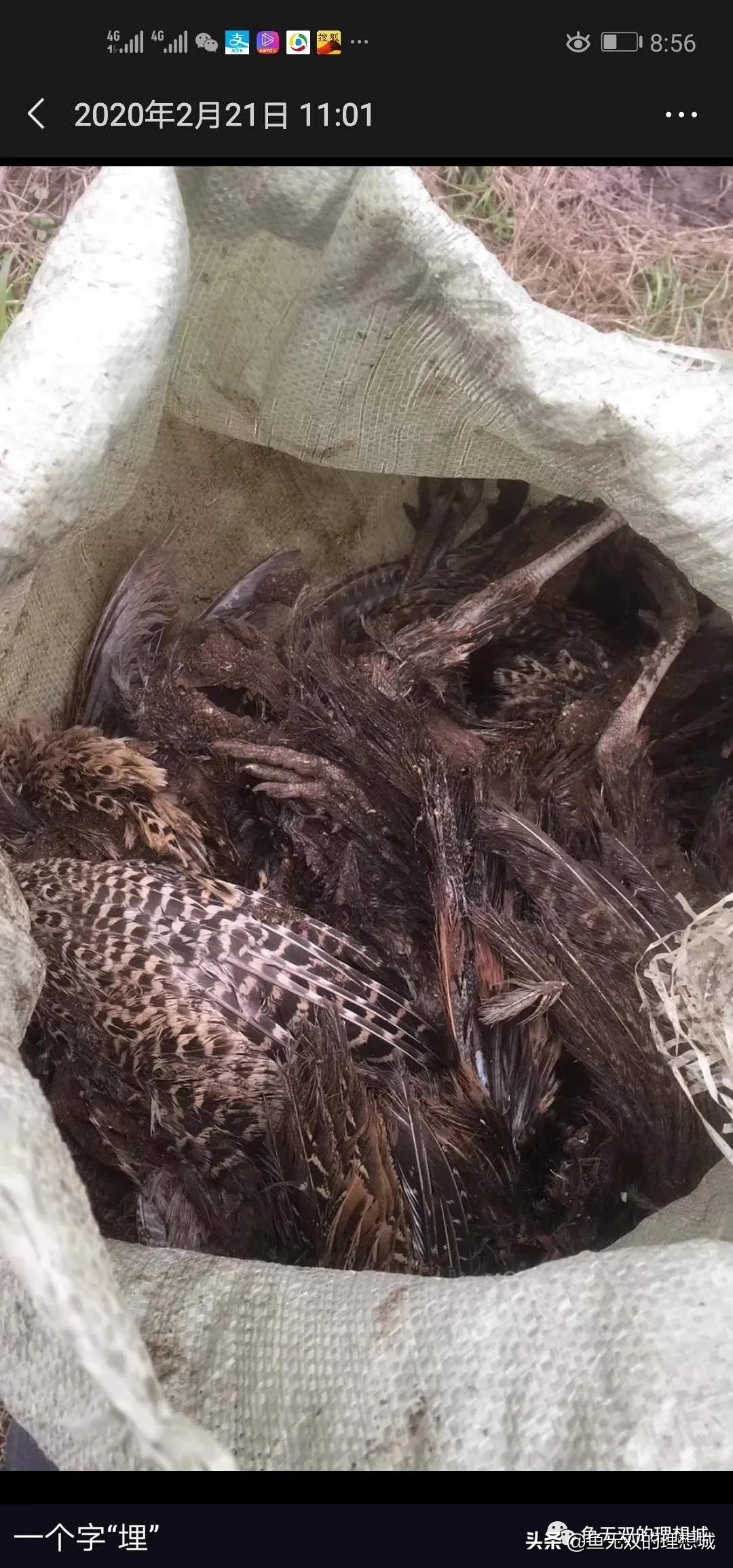 楸艰鏁呬簨,瀵撹█鏁呬簨娓斿か瀵归奔鍚瑰摠