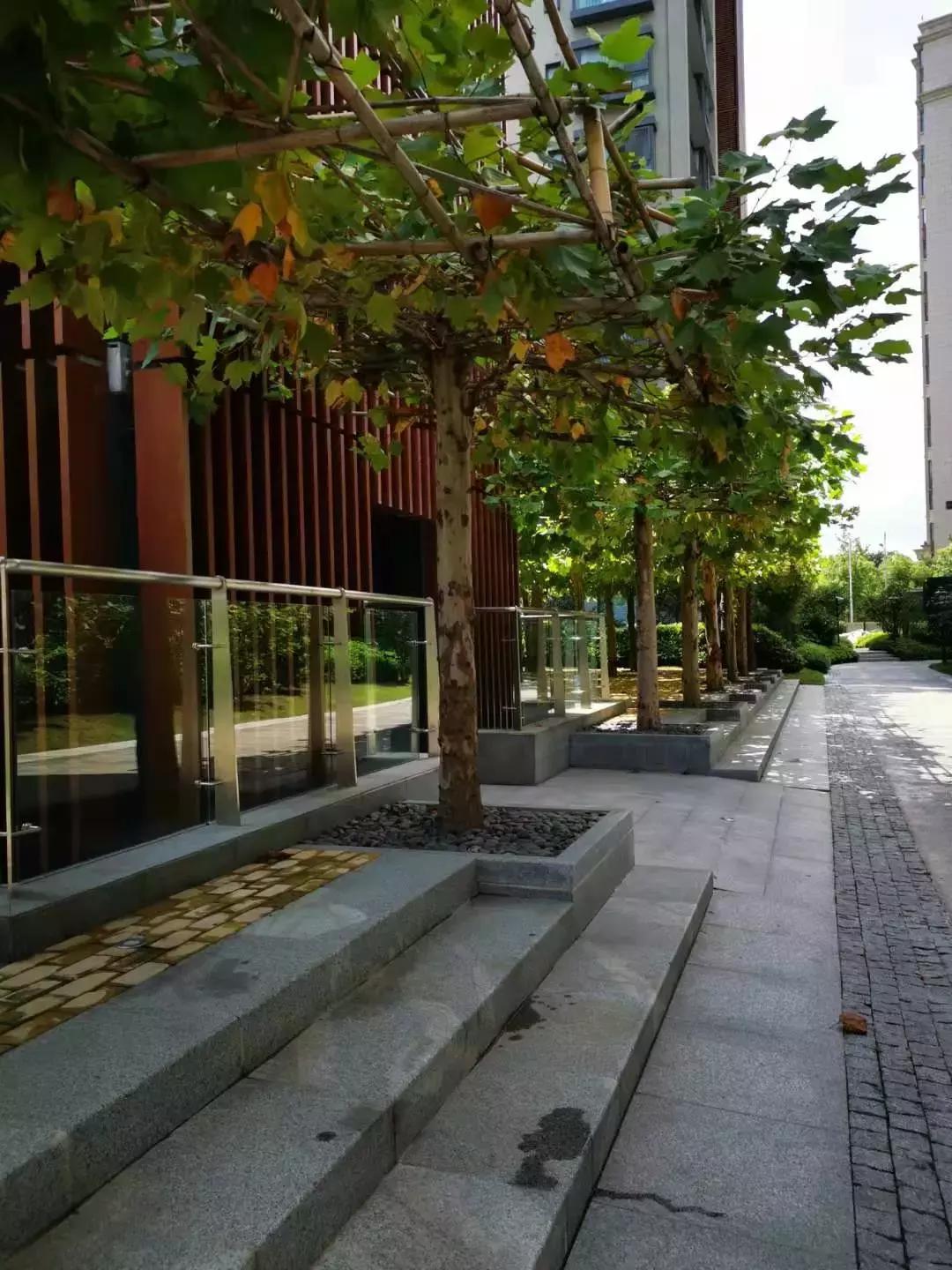 上海长风沁和园最新消息,长风沁和园怎么样