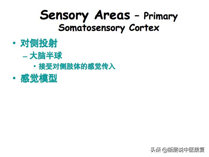 中枢神经系统断层解剖讲解,中枢神经3d解剖动画