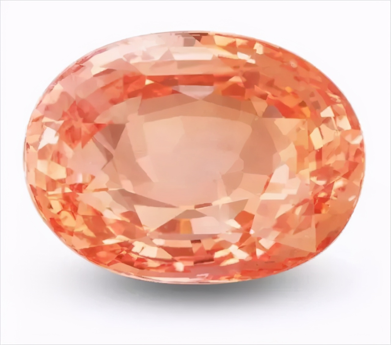 帕帕拉恰介绍,正统帕帕拉恰