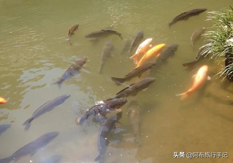 成田机场对比羽田机场,成田机场和羽田机场有什么不一样