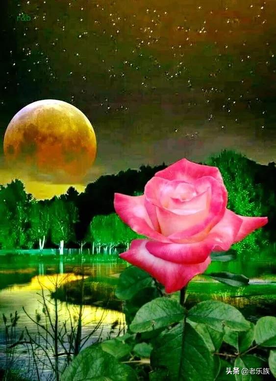 离退休之后一定要停止做这八件事,离退休人员必须知道的条件