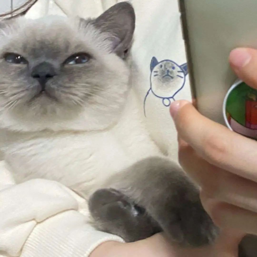 煤老板爆红完整版,煤老板ins