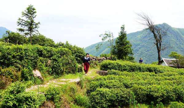 仙山岭,江西的“扎尕那”,万里茶道第一村,却被无数游客错过