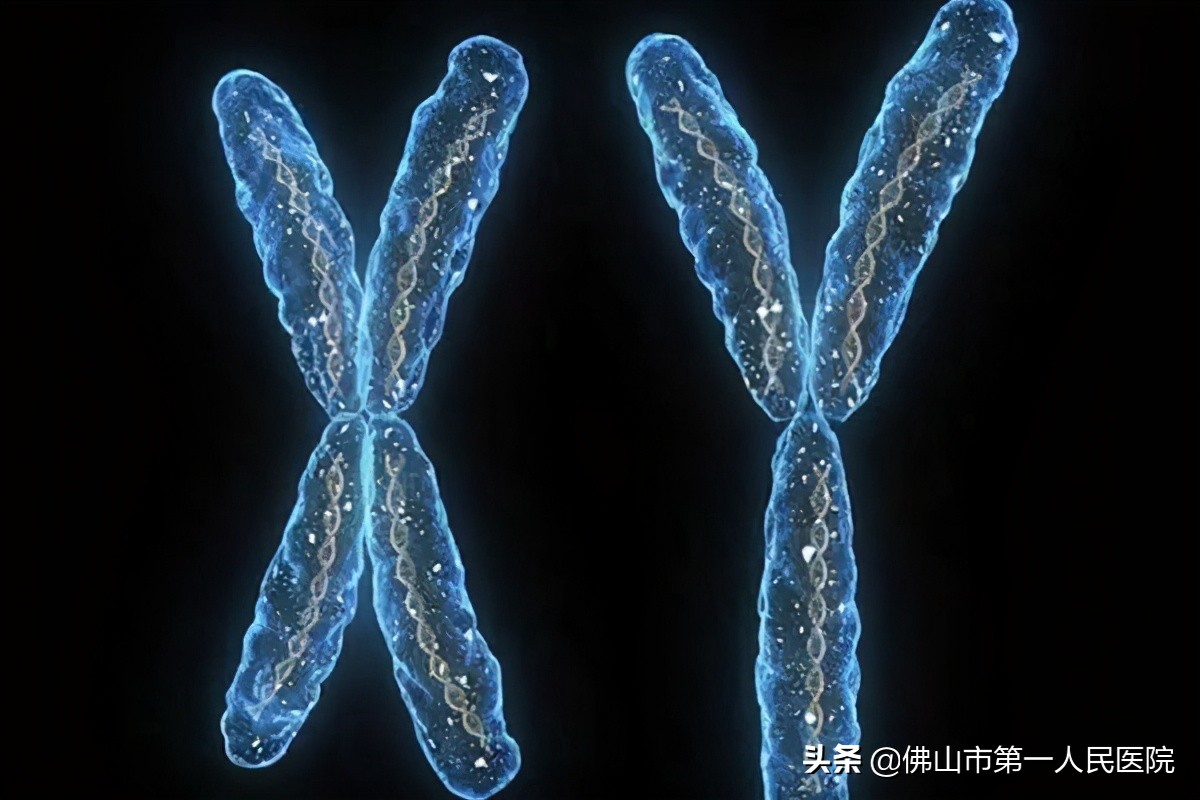 沙漠寻找绿洲,沙漠上寻找绿洲