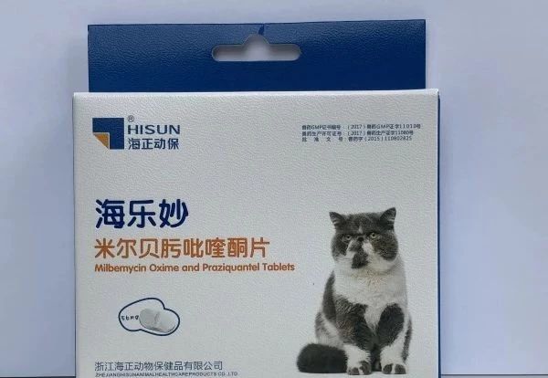 你得知道的那点事儿?猫咪常备药