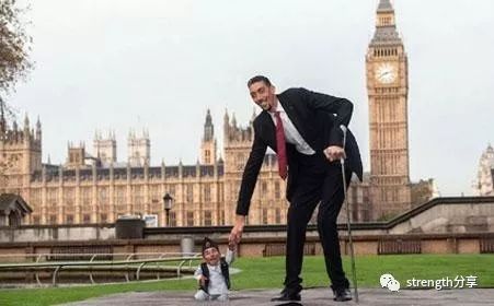 最好的力量训练,力量训练黄金动作