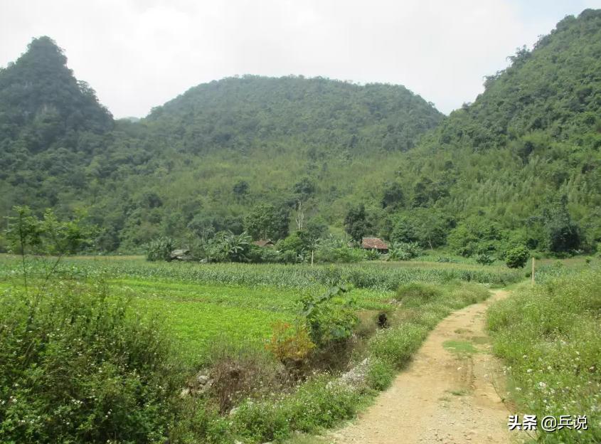 越南老兵重回当年战斗过的洞穴 (越南老兵回忆丛林战争)