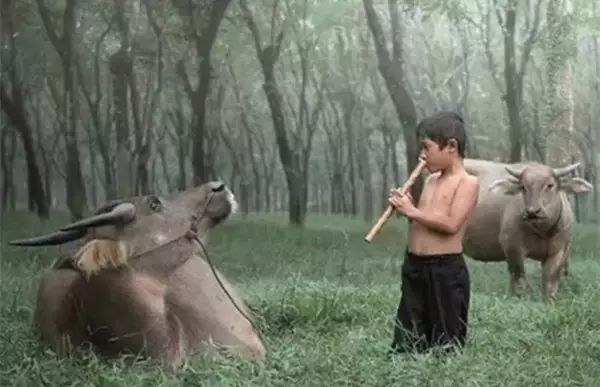 推荐十首让人泪落下的校园歌曲,50首经典校园歌曲