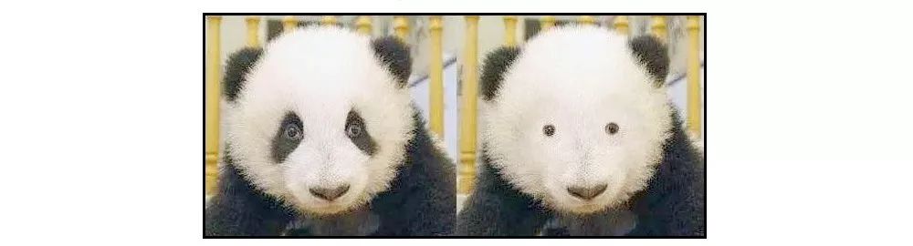 儿童喝咖啡的好处与坏处有哪些,喝咖啡对心血管病人有没有好处