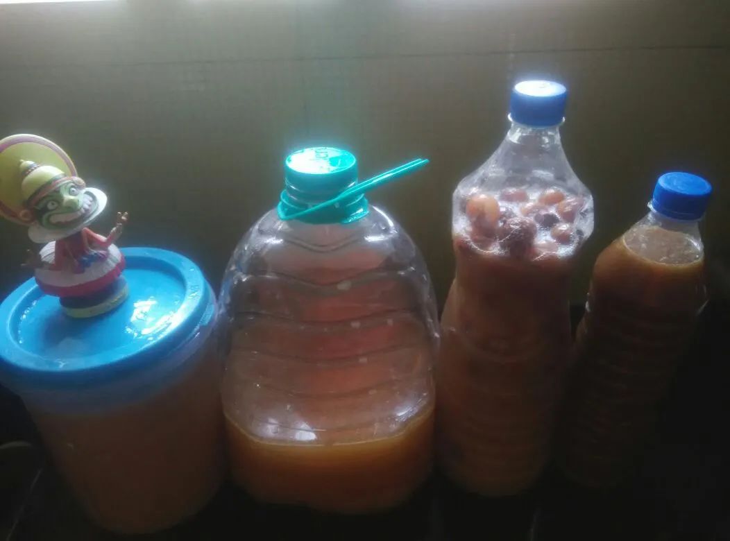 每天剩饭制作酵素肥料,酵素堆肥烂菜叶子制作全过程