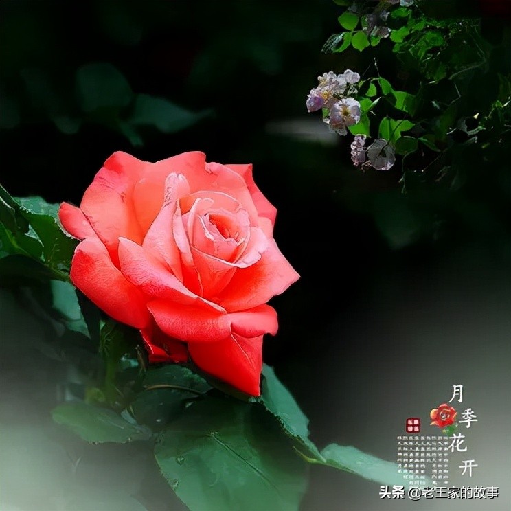 与人交谈的三大忠告,交谈的禁忌行为