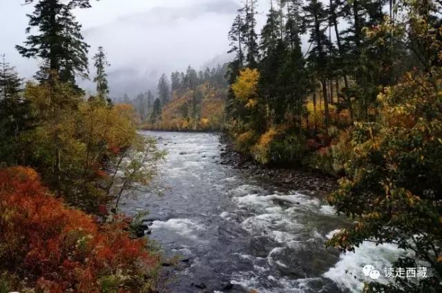 米林最神秘景点,米林十大景点