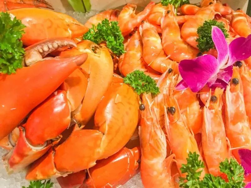 成都海鲜自助餐499元一个,成都生蚝吃到饱自助餐