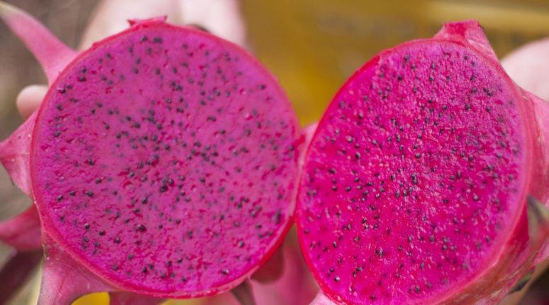 买火龙果要掰刺吗,火龙果怎么买才不会甜