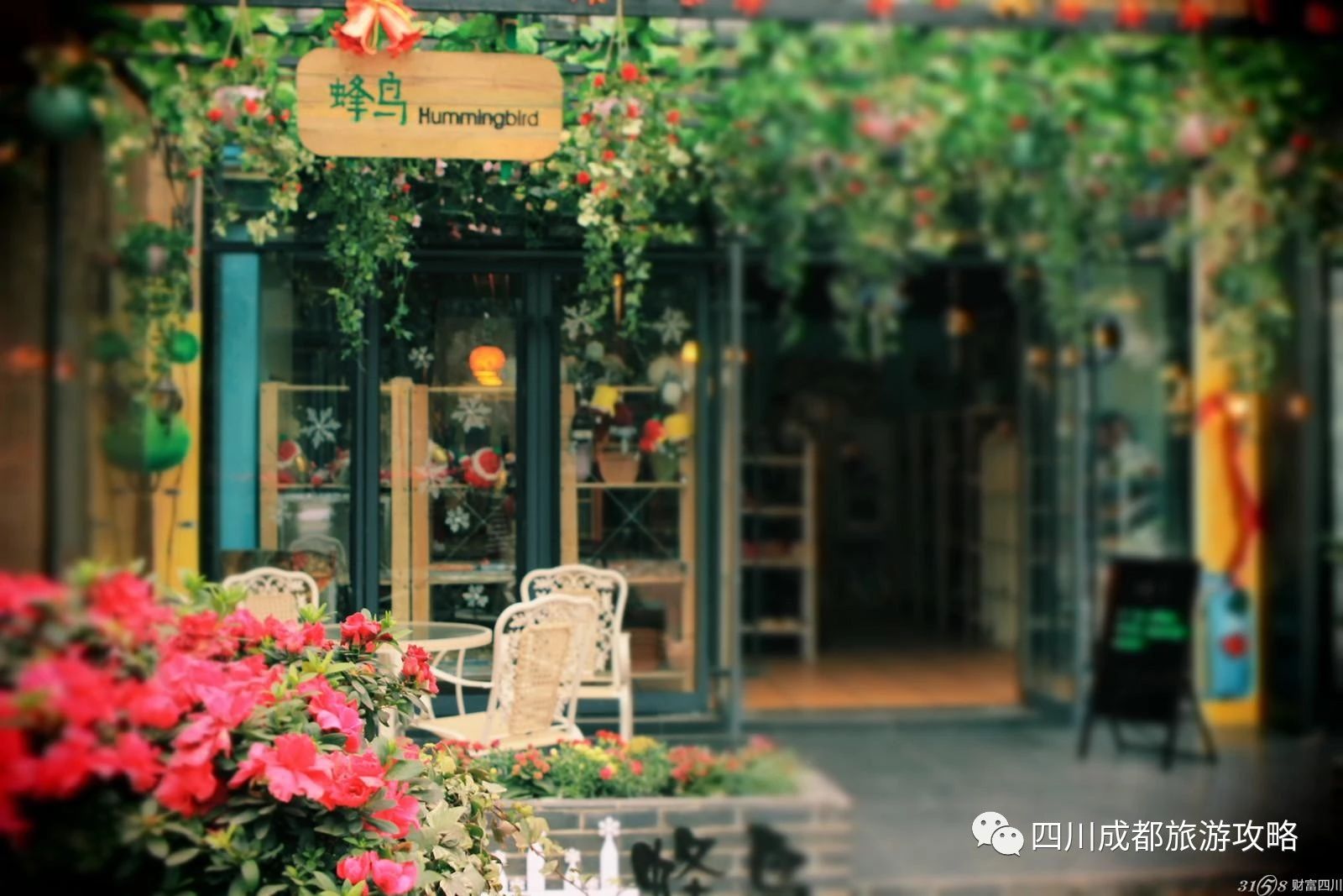 成都文青耍的地方,成都文青网红打卡地