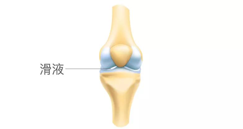 宣医健康科普,活动时关节响中医看是什么病