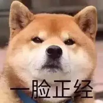 比养孩子还艰难,比照顾小孩还要累