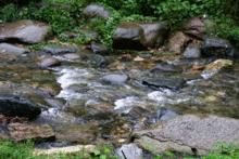 农村老人说不能杀蛇，难道说报纸上关于蛇报复人的报道，是真的？