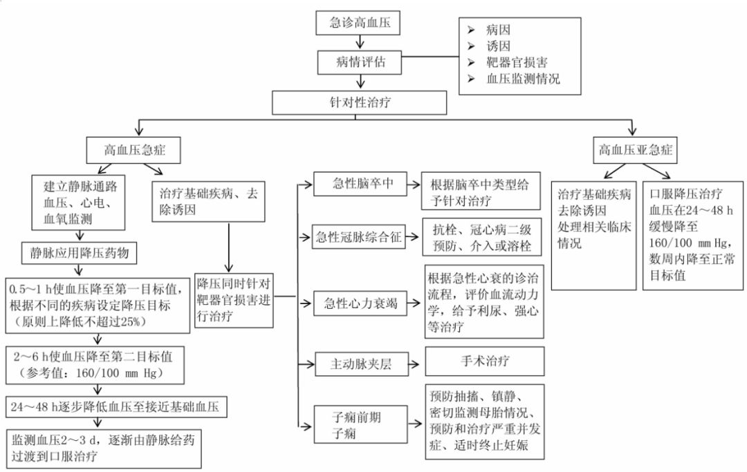 高血压急诊处置流程图,急诊高血压用药指南最新