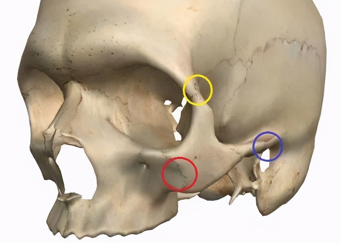 最有效干货来了：提升凹陷太阳穴、平衡高低颧骨
