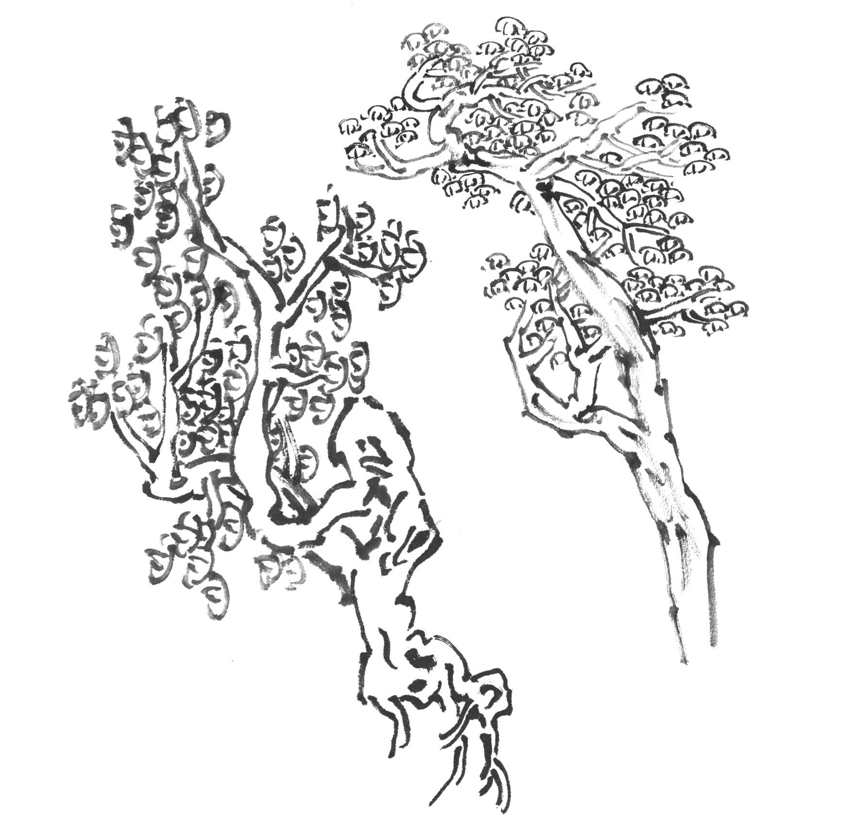 国画雪景树的画法技巧步骤,国画杂树与山石的画法图片